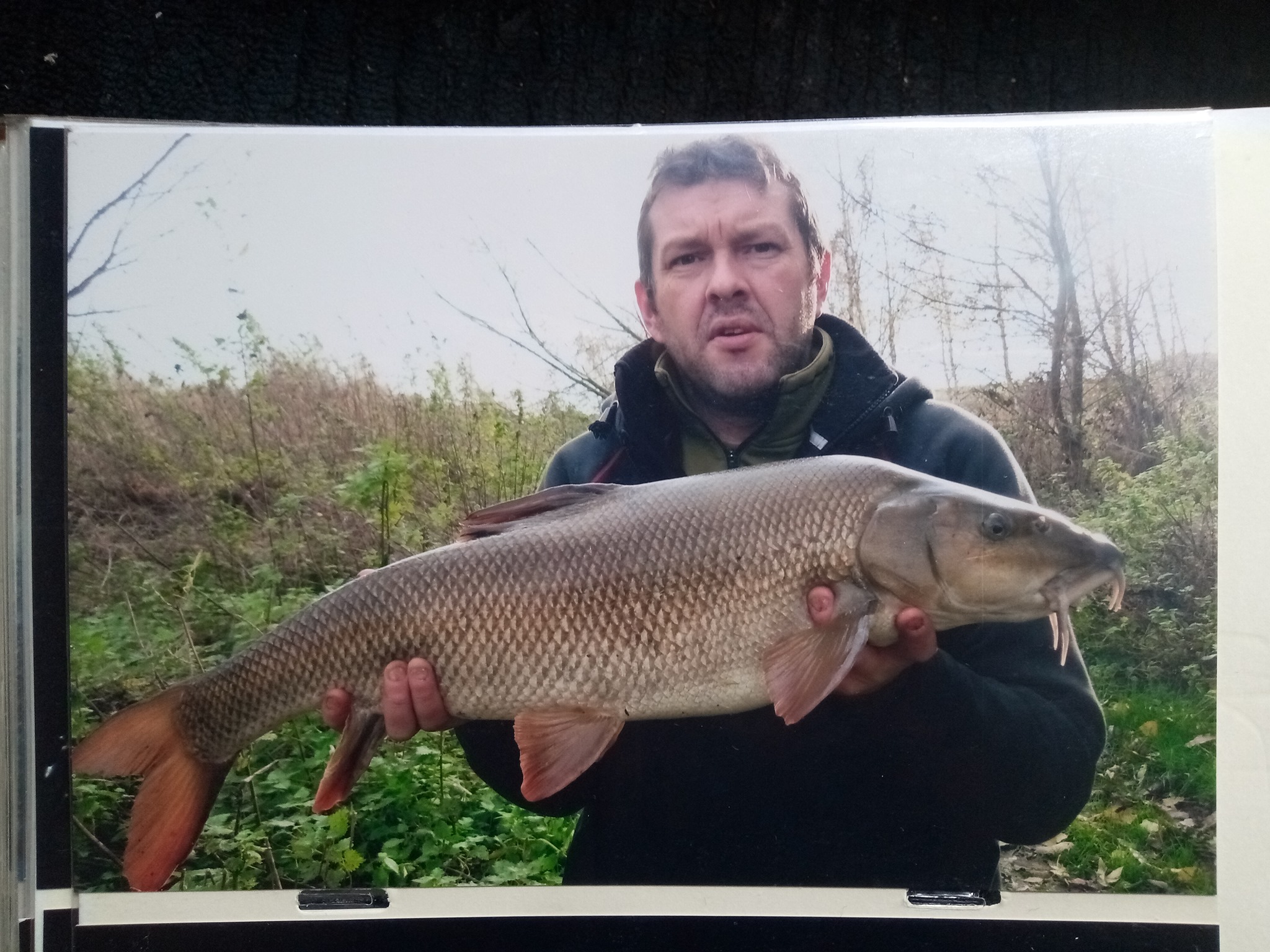 Bingham Tench